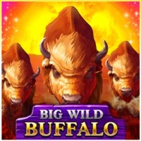 Big Wild Buffalo slot logo by Belatra Games at Nordspin CasinoBig Wild Buffalo