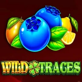 Wild Traces slot logo by Amusnet Interactive at Nordspin Casino